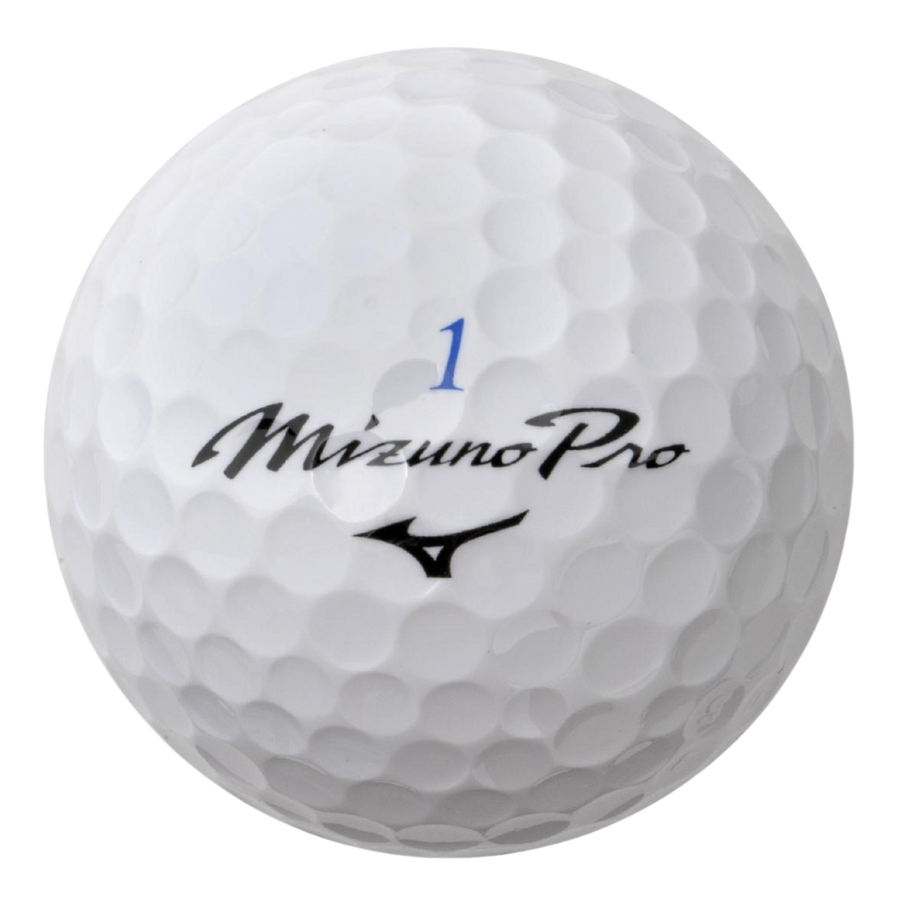 Mizuno Pro X