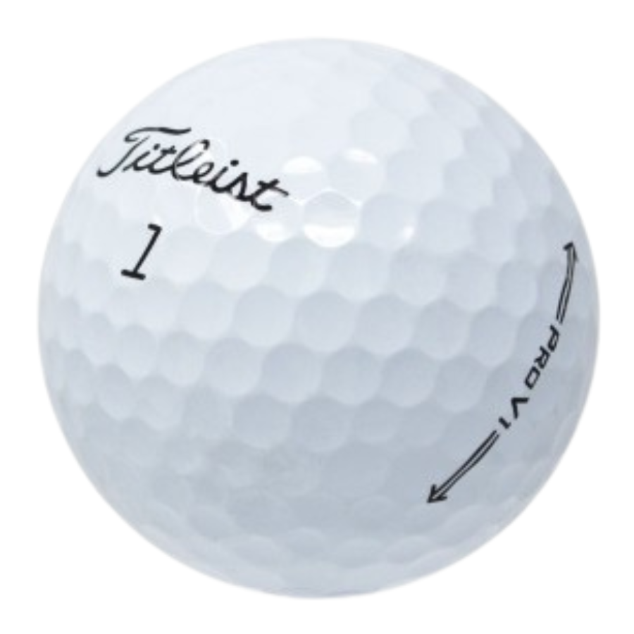 Titleist Pro V1 2021 Used Golf Balls - golfballs.net