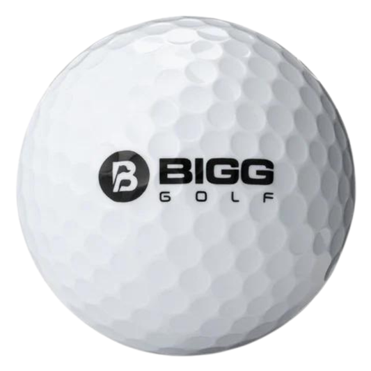 Bigg Used Golf Balls White and Yellow