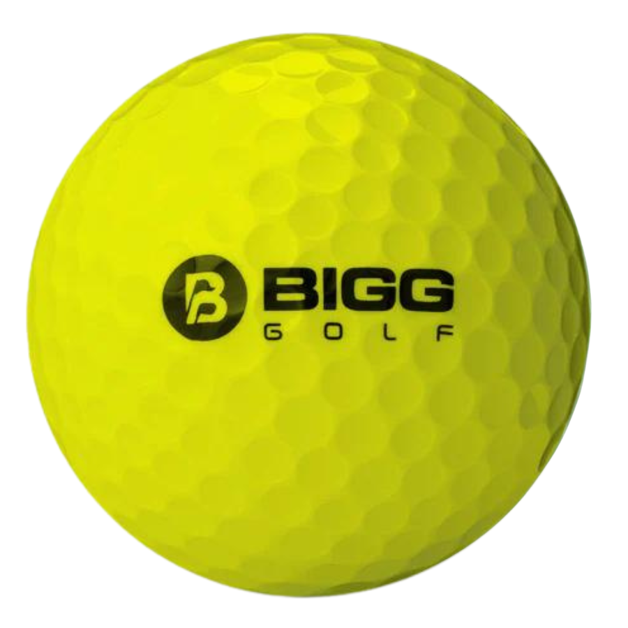 Bigg Used Golf Balls White and Yellow