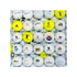 Collectible Golf Course Logo Golf Ball Mystery Mix (Per Dozen)