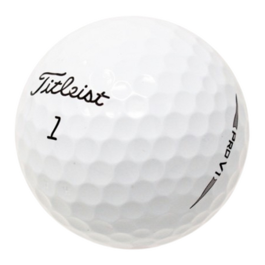 Titleist Pro V1 2019 Used Golf Balls - golfballs.net