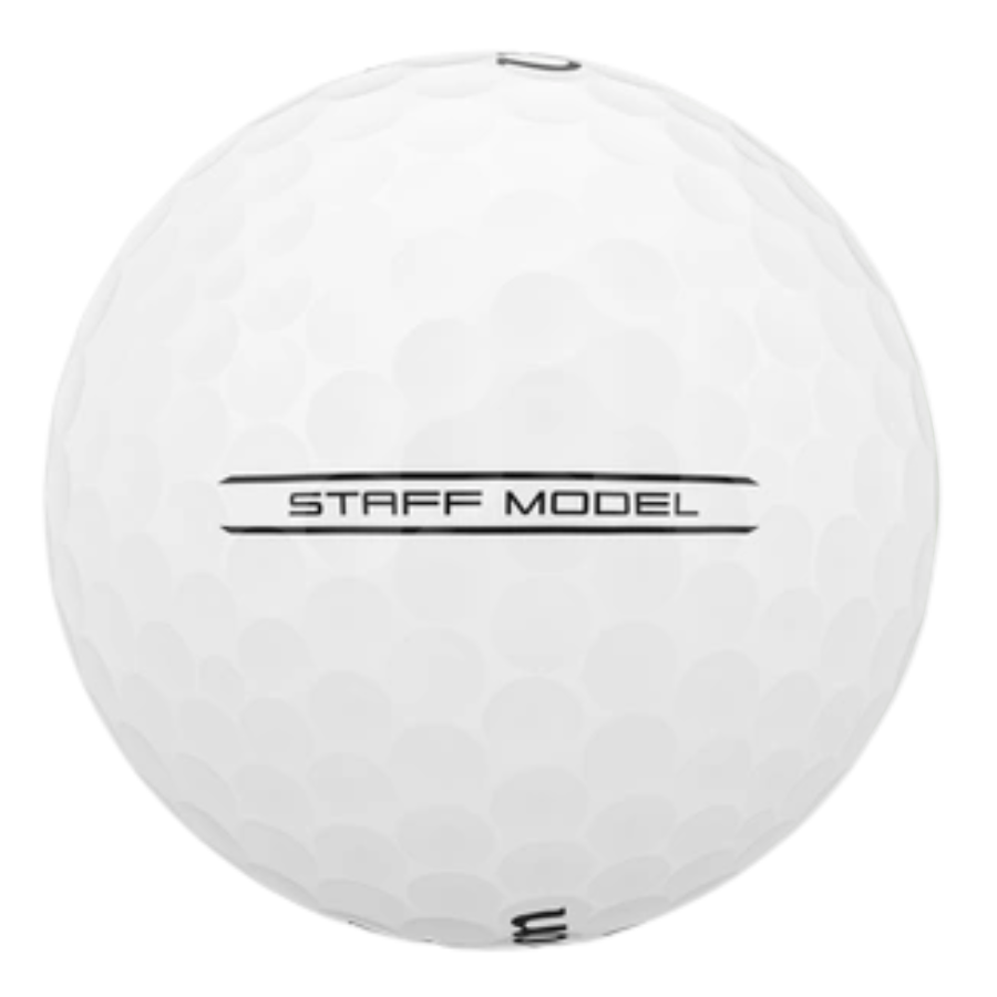 Wilson Staff Model Used Golf Balls White 2026